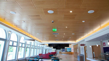 Огнеупорные деревянные акустические пефорированные панели МДФ для стены и потолка